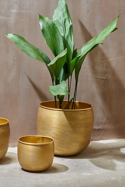 nkuku Tembesi Antique Brass Planter, Large - image 1
