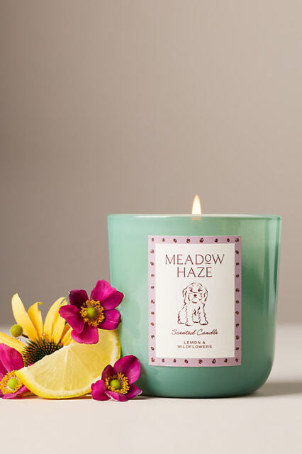 Papier x Anthropologie Fresh Meadow Haze Doodle Glass Candle - image 1