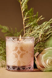 Hotel Bon Séjour Fresh Juniper & Birchwood Boxed Glass Candle