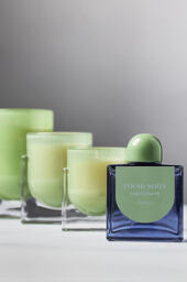 Found Notes Cedar Leaf & Oak Boxed Candle - thumbnail 2