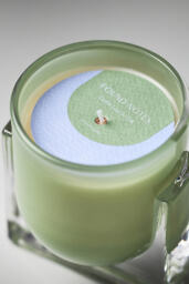 Found Notes Cedar Leaf & Oak Boxed Candle - thumbnail 6