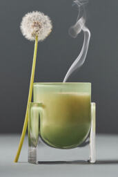 Found Notes Cedar Leaf & Oak Boxed Candle - thumbnail 3