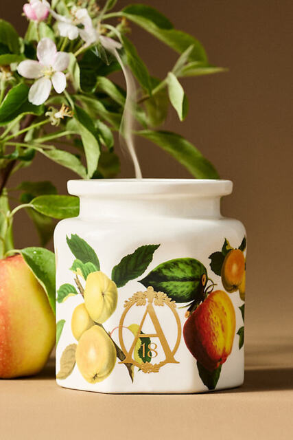 Apothecary 18 Fruity Harvest Apple & Vanilla Ceramic Candle - image 1