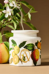 Apothecary 18 Fruity Harvest Apple & Vanilla Ceramic Candle - thumbnail 1