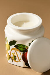 Apothecary 18 Fruity Harvest Apple & Vanilla Ceramic Candle - thumbnail 3