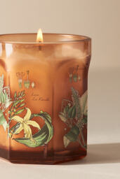 Apothecary 18 Small Sandalwood & Vanilla Glass Candle - thumbnail 5
