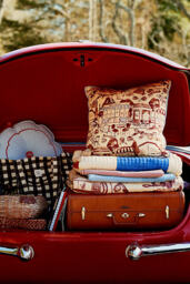 Damson Madder Cotton Printed Cushion