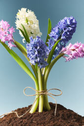 Maeve Low Wide Floral Wildflower Bouquet Glass Candle - thumbnail 2