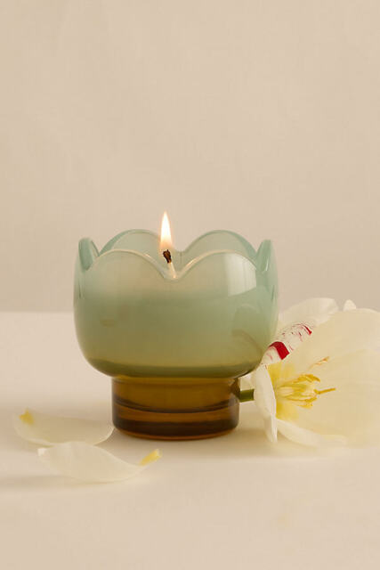 Paddywax Tulip Wisteria & Willow Glass Candle - image 1