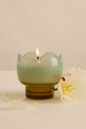 Paddywax Tulip Wisteria & Willow Glass Candle