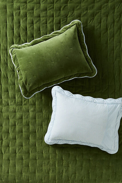 Abbott Cotton Velvet Solid Scalloped Pillowcases, Set of 2
