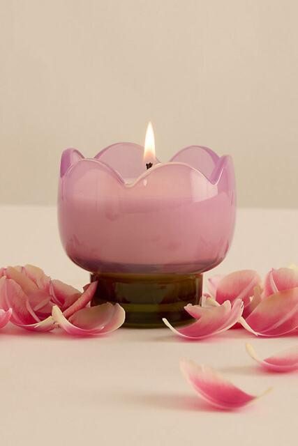 Paddywax Tulip Garden & Grove Glass Candle - image 1