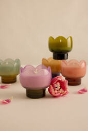 Paddywax Tulip Garden & Grove Glass Candle - thumbnail 3