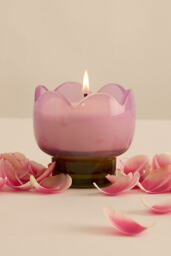 Paddywax Tulip Garden & Grove Glass Candle