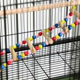 PawHut Steel Budgie Cage 133cm High with Stand, Slide-Out Tray, Toys, Storage Shelf for Canaries, Finches, Lovebirds, Parakeets, Black - Aosom UK - thumbnail 9