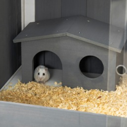 PawHut Wooden Hamster House Hamster Cage with Shelf, for Dwarf Hamsters, Gerbils, Rutin Chickens, with Huts, 82 x 45 x 81 cm, Dark Grey - thumbnail 9