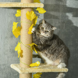 PawHut 202-242cm Height Adjustable Floor to Ceiling Cat Tree for Cats with Sisal Scratching Post, 3- Tier Cat Tower - thumbnail 9