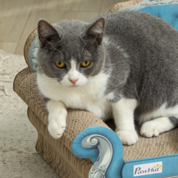 PawHut 2 in 1 Cat Scratcher with Catnip for Indoor Cats, 30.5 x 55 x 31.5cm, Light Blue - thumbnail 8