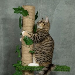 PawHut Floor to Ceiling Cat Tree, 242cm Height Adjustable Kitten Tower, Anti-slip Kit, Highly Simulated Multi-Layer Activity Centre, Green - Aosom UK - thumbnail 8