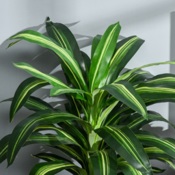Outsunny Set of 2 Artificial Dracaena Trees, 110cm/3.6FT Tall Decorative Plants with 40 Leaves & Nursery Pot, Fake Tropical Tree for Indoor/Outdoor - thumbnail 8