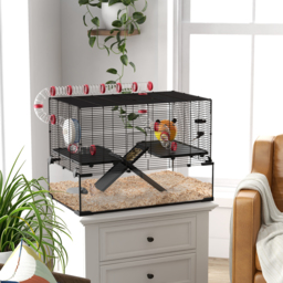 PawHut Hamster Haven: Deep Glass Base, Tunnels & Ramps for Playful Exploration, Cosy Hut & Exercise Wheel, 78.5x48.5x57cm - Aosom UK - thumbnail 2