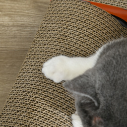 PawHut 2 in 1 Cat Scratching Board with Catnip, Car-shaped - Aosom UK - thumbnail 7