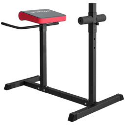SPORTNOW Back Extension Roman Chair, Hyperextension Bench with Adjustable Leg Roller for Back, Abdominal and Gluteal Training - Aosom UK