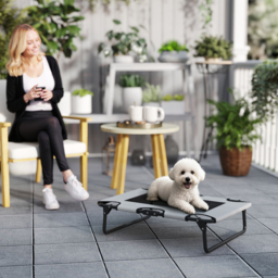 PawHut Portable Raised Dog Bed, Elevated Pet Cot with Breathable Mesh for Indoor Outdoor, for Small Medium Dogs, Light Grey - thumbnail 2