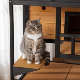 PawHut Wooden Cat House 3-Tier for Winter Kitten Shelter Lodge w/ Tilted Roof Terrace Jump Step Bottom Tray Elevated Base, Yellow - thumbnail 9
