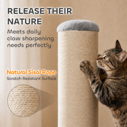 PawHut Cat Scratching Post, 76cm Tall Scratch Post for Indoor Kittens, Cat Scratcher with Stable Base - thumbnail 5