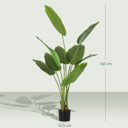 HOMCOM 160cm Tall Artificial Bird of Paradise Plant, Faux Banana Leaf Tree with PEVA Leaves and Flocking, Decorative Palm Tree in Pot for Home Office Decor, Green - thumbnail 3