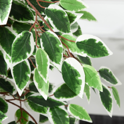 Outsunny 160cm/5.2FT Artificial Ficus Silk Tree with Nursery Pot, Decorative Fake Plant, for Indoor Outdoor Décor - thumbnail 9