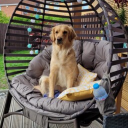 Outsunny 2 Seater Egg Chair with Soft Cushion, Steel Frame and Side Pocket, Garden Patio Basket Chair for Indoor, Outdoor, Brown - Aosom UK - thumbnail 9