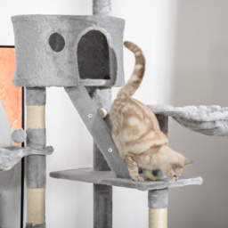 PawHut Floor to Ceiling Cat Tree for Indoor Cats 240-260cm Adjustable Height Light Grey - Aosom UK - thumbnail 9