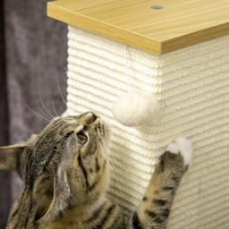 PawHut Tall Cat Scratching Post, 80cm Sisal Rope Climbing Tree with Play Ball, Durable Pet Activity Centre - Aosom UK - thumbnail 8