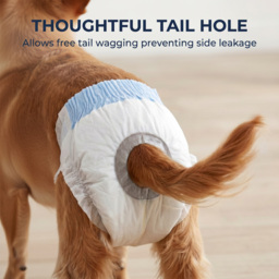 PawHut Disposable Dog Diapers Female Incontinence or Excitable Urination and Training 48 Count, XS, 15-33 cm - thumbnail 7