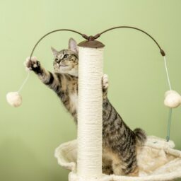 PawHut Cat Tree Indoor Kitten Play Tower, Sisal Scratching Posts with Hammock & Ball Toy, 53.5x53.5x90 cm, Beige - Aosom UK - thumbnail 8
