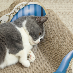 PawHut 2 in1 Cat Scratching Board with Catnip for Indoor Cats, 26.5 x 57 x 26.5cm, Blue - thumbnail 9