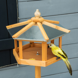 PawHut Deluxe Bird Stand Feeder Table Feeding Station Wooden Garden Wood Coop Parrot Stand 113cm High New - thumbnail 8