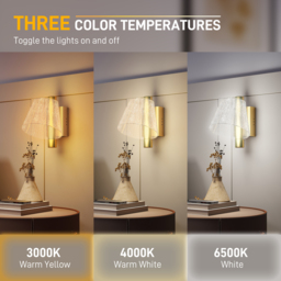 HOMCOM Led Wall Lamp 2 Pack, 5W Modern Indoor Starry Wall Light, Colour Temperature Adjustable 3000K/4000K/6500K, for Bedroom, Living Room, Hallway, Stairs, Gold Tone - thumbnail 4