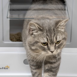 PawHut Hooded Cat Litter Box with Scoop, Front Entry Top Exit, Portable Pet Toilet, Large Space, Easy Assemble, Grey - Aosom UK - thumbnail 9