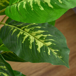 HOMCOM Artificial Evergreen Tree Fake Decorative Plant in Nursery Pot for Indoor Outdoor Décor, 95cm - Aosom UK - thumbnail 9