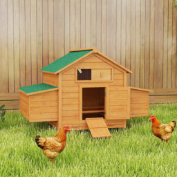 PawHut Wooden Chicken Coop with Nesting Boxes and Tray, for 2-4 Chicken, 150 x 100 x 96.5cm, Yellow - thumbnail 2