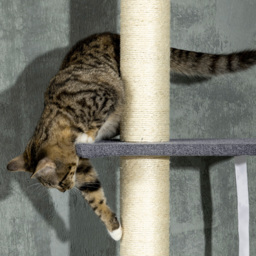 PawHut 5-Tier Cat Tree, Adjustable Height Floor to Ceiling Tower, Multi-Level Climber with Scratching Posts, Black - Aosom UK - thumbnail 8