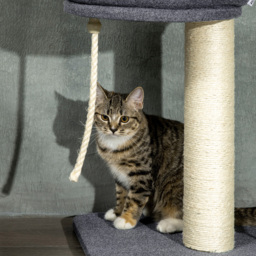 PawHut 5-Tier Cat Tree, Adjustable Height Floor to Ceiling Tower, Multi-Level Climber with Scratching Posts, Black - Aosom UK - thumbnail 9