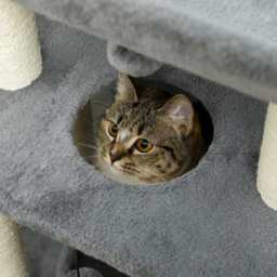 PawHut Cat Tree Tower: Scratching Posts, Cosy Bed & Perch, Interactive Ball Toy for Feline Fun, Light Grey - Aosom UK - thumbnail 7