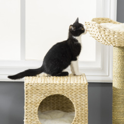 PawHut Cat Tree for Indoor Cats Kitten Tower Cattail Weave with Scratching Posts, Cat House, Bed， Washable Cushions Natural, 57 x 37 x 100.5 cm - thumbnail 7