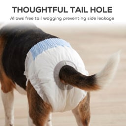 PawHut Disposable Dog Diapers Female for L Dogs Incontinence or Excitable Urination and Training 48 Count - thumbnail 7