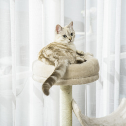 PawHut Cat Tree, Plush, 50Lx40Wx105H cm-Beige - Aosom UK - thumbnail 8