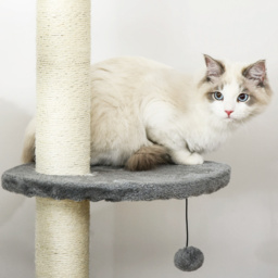 PawHut Multi-Level Cat Tree, Kitten Activity Tower, Condo, Indoor Play House with Scratching Post, Hanging Balls, Light Grey - Aosom UK - thumbnail 9